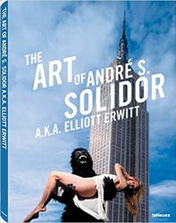the-art-of-andre-s-solidor